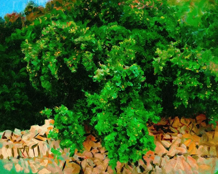 Ilex Wood. Majorca