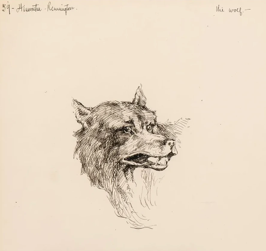 Illustration for the Song of Hiawatha
