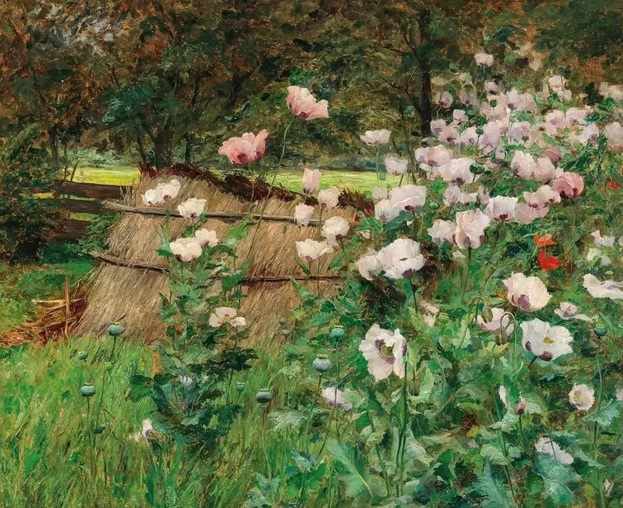 Im Bauerngarten