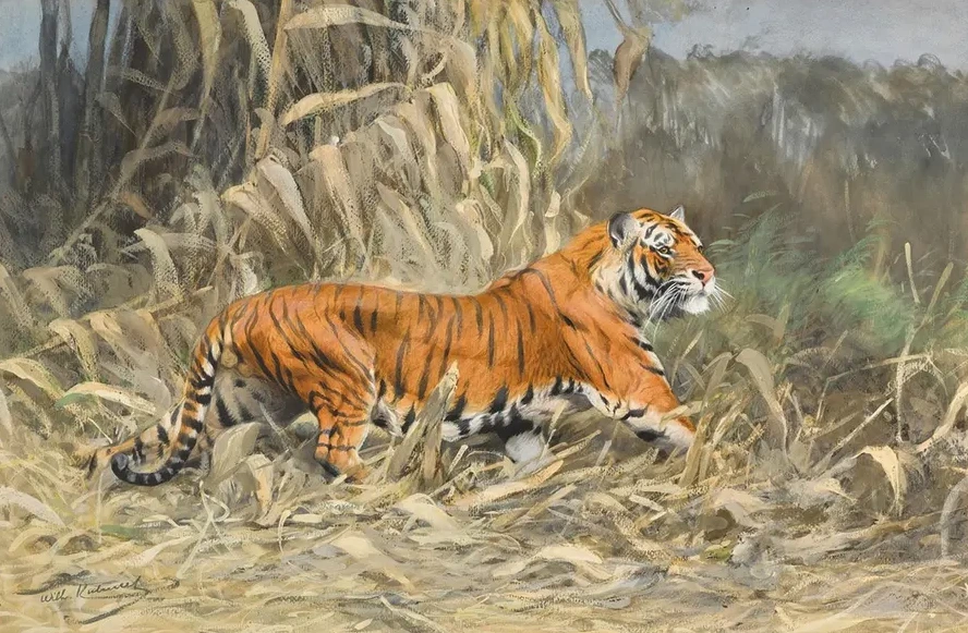 Im Dschungel (Tiger)