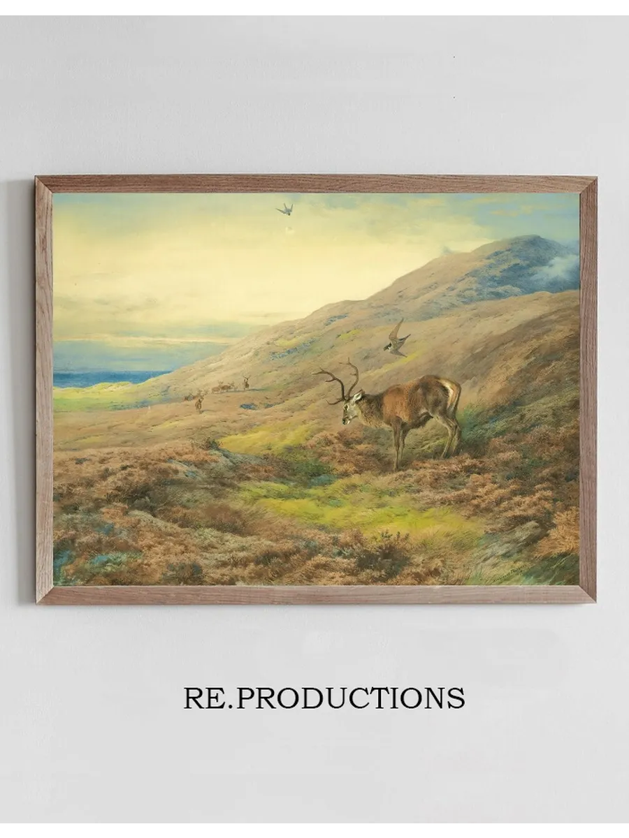 In The Highlands, Red Stag Mobbed By A Pair Of Peregrines