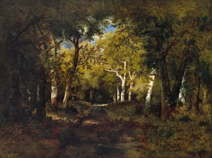In the Forest