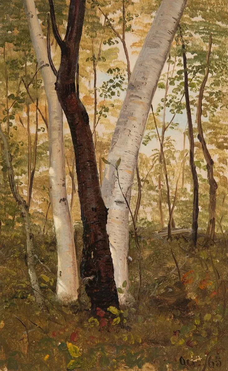 In the Woods, Hudson, New York