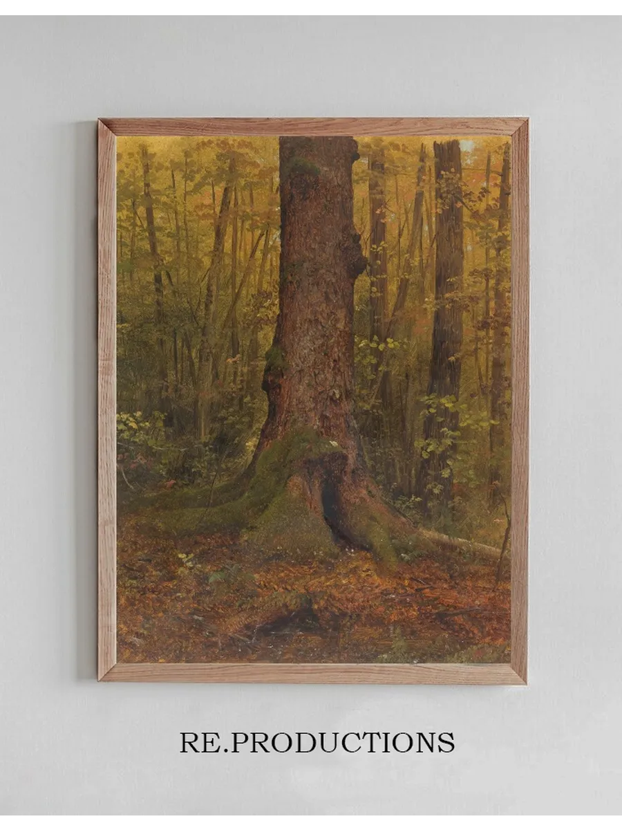 In the Woods, probably Maine
