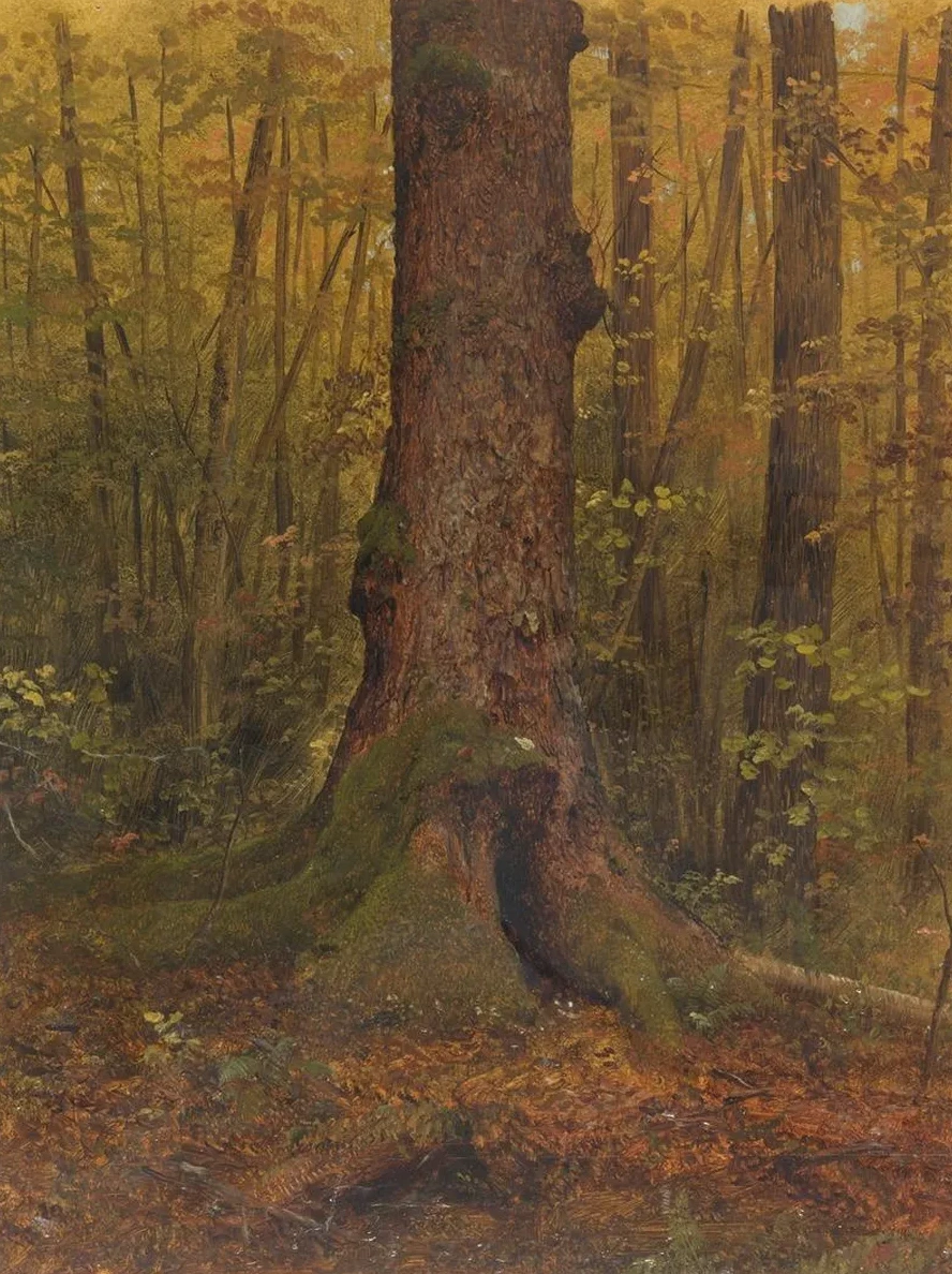In the Woods, probably Maine