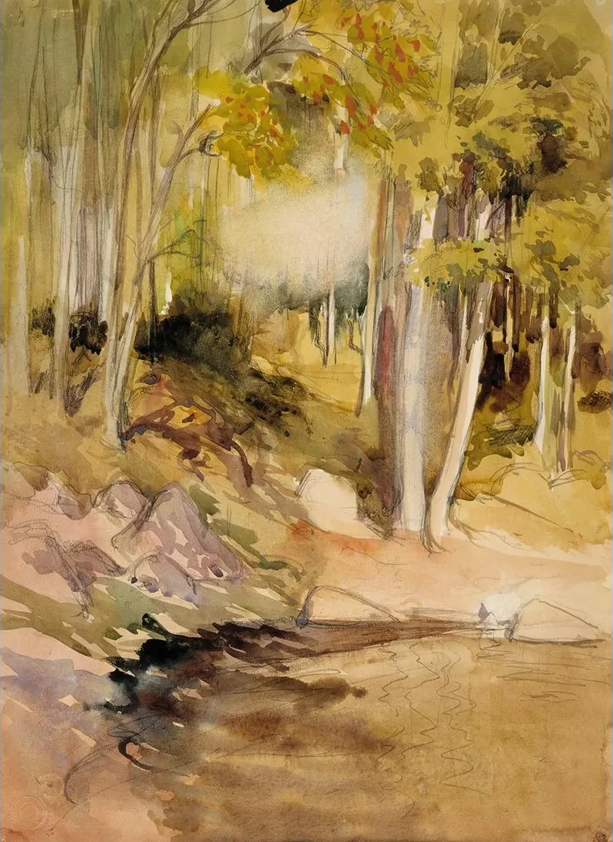 In the Woods