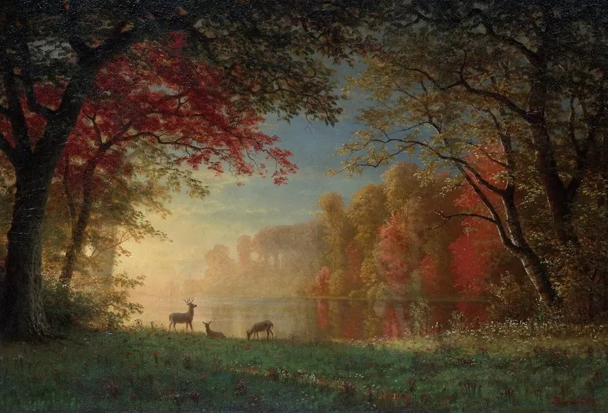 Indian Sunset, Deer by aLake