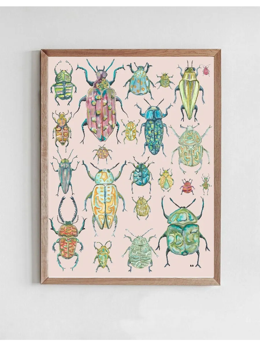 Insekter
