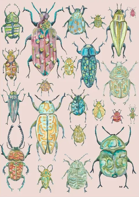 Insekter