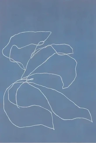 Iris In the Wind