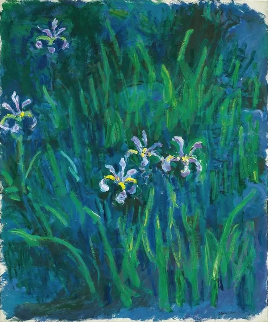Iris