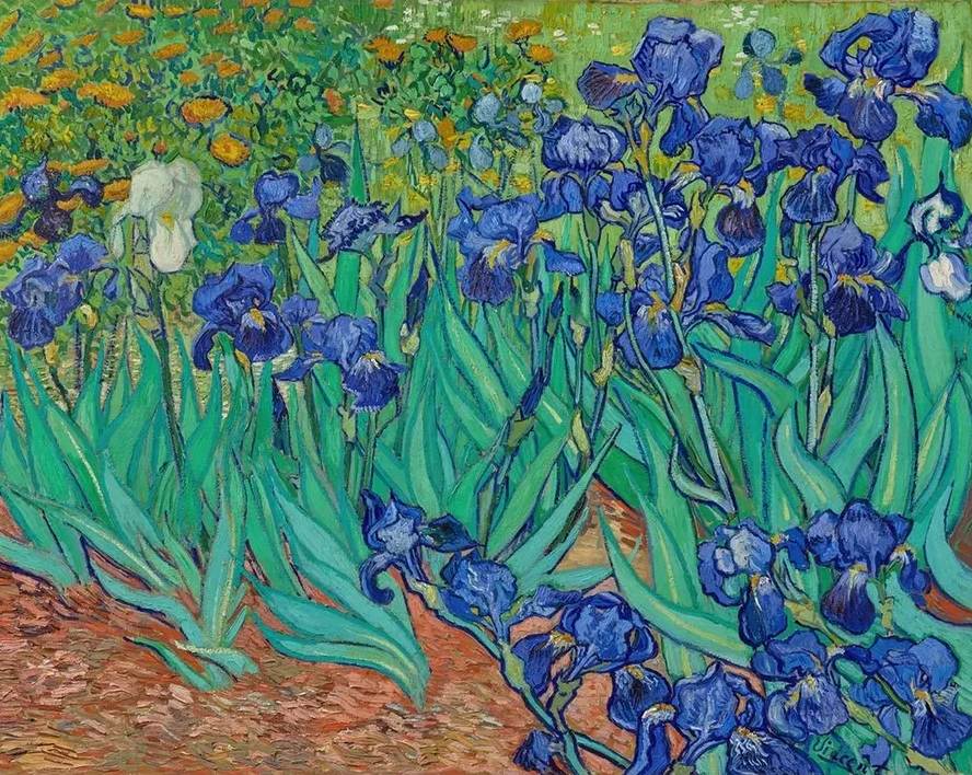 Irises