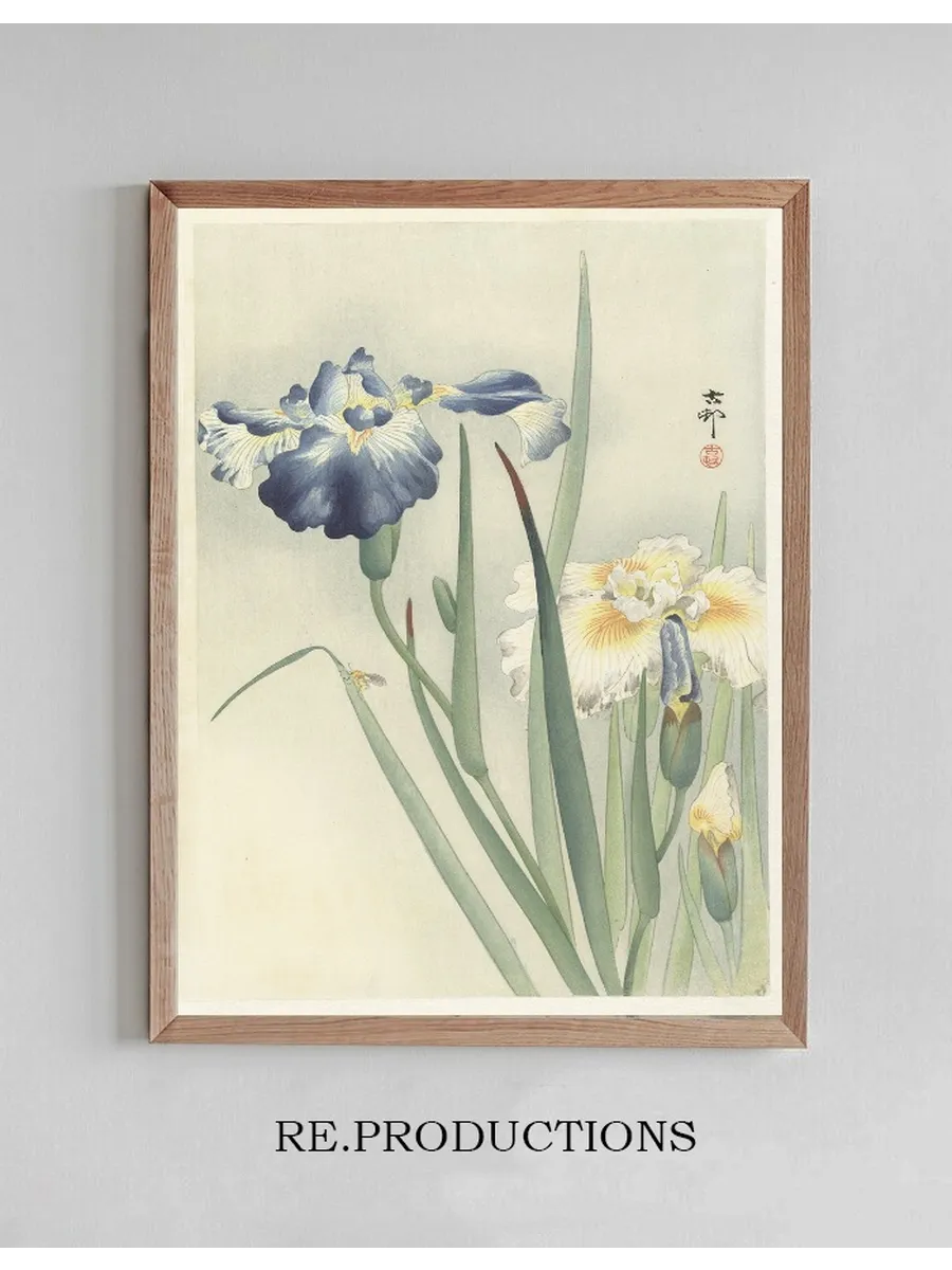 Irises