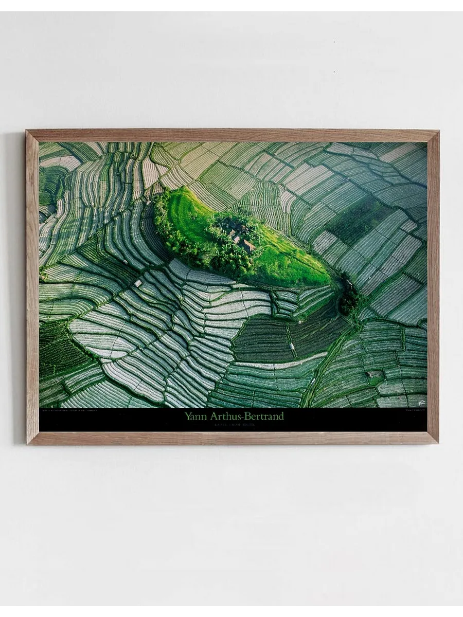 Islet in the Terraced Rice Fields of Bali, Indonesia
