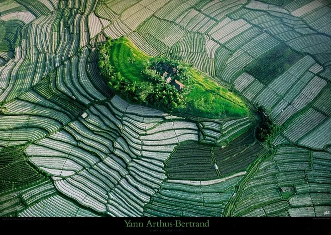 Islet in the Terraced Rice Fields of Bali, Indonesia