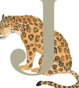 J - Jaguar