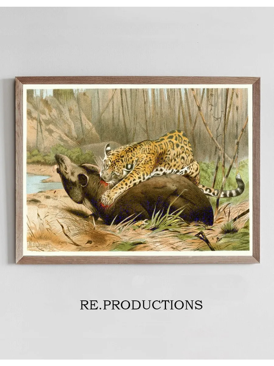 Jaguar Killing Tapir