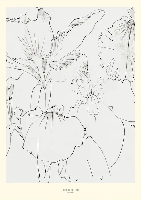 Japanese Iris