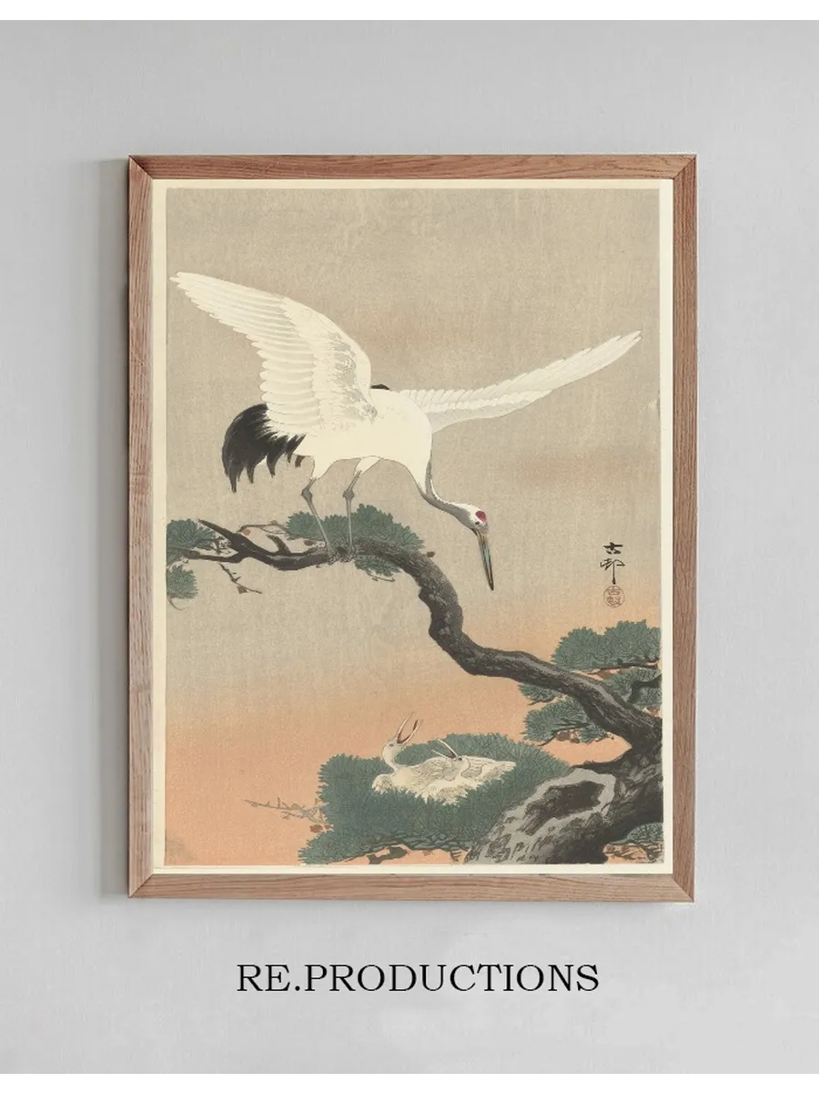 Japanese Common Crane on Branch of Pine
