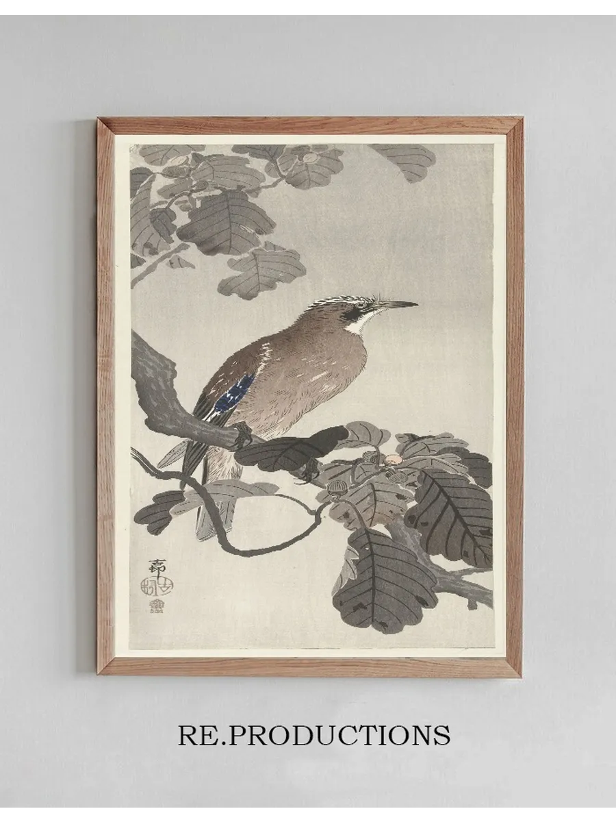 Jay on Tree Branch