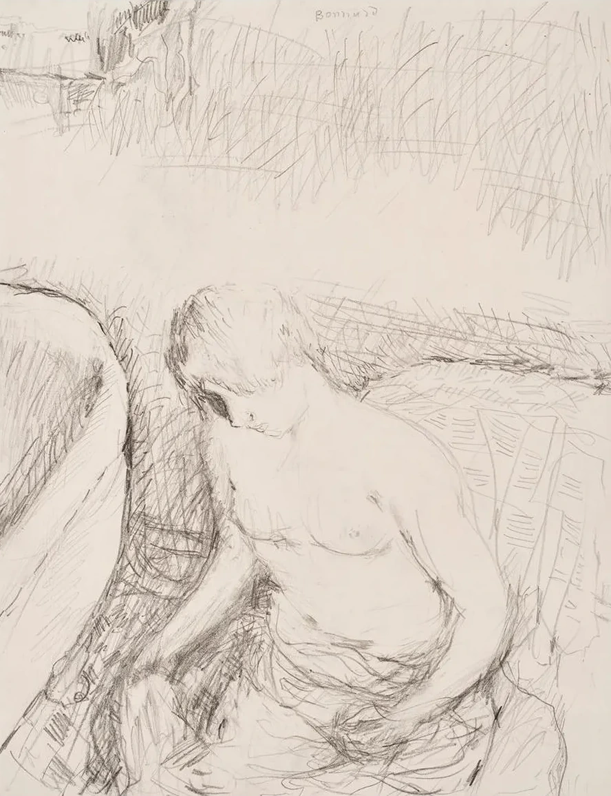 Jeune Femme Sa Toilette