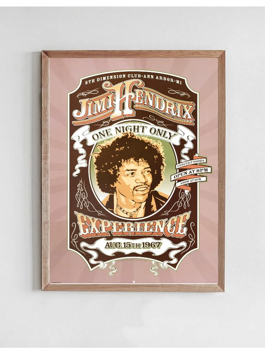 Jimi Hendrix - One night only