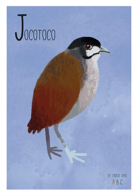 Jocotoco