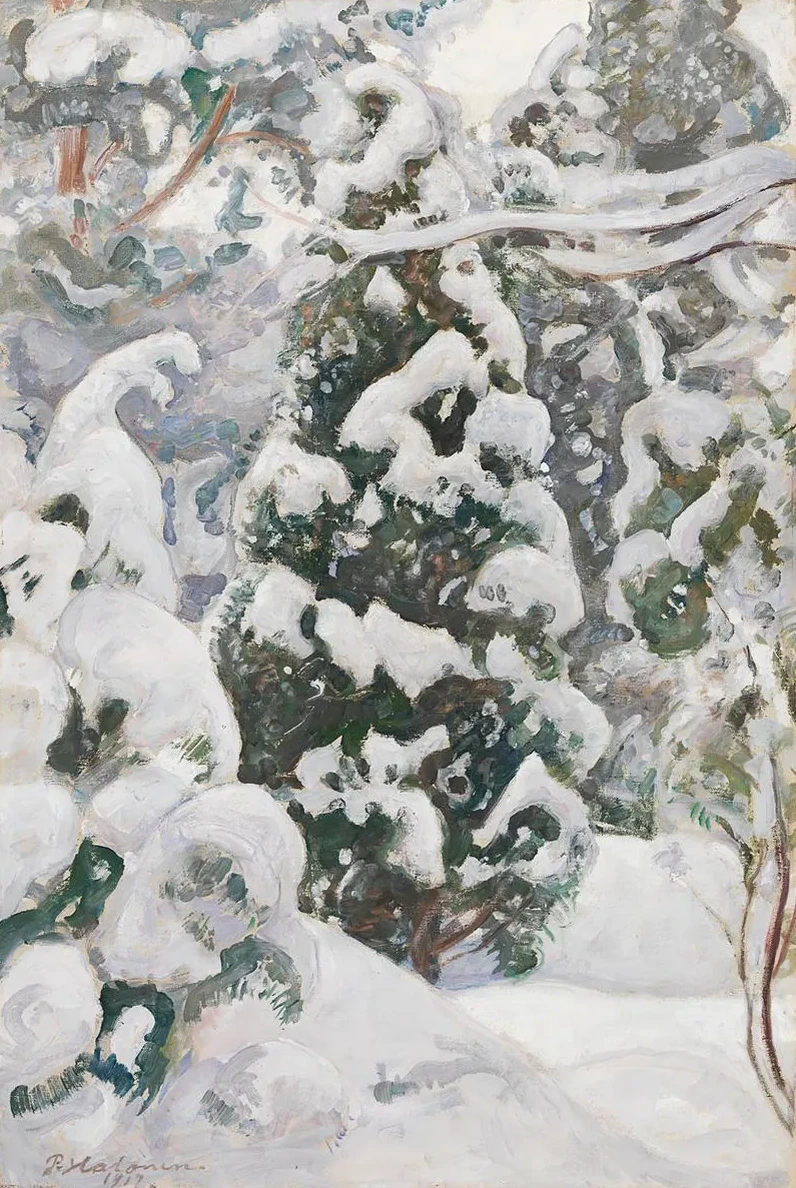 Juniper Tree in Snow