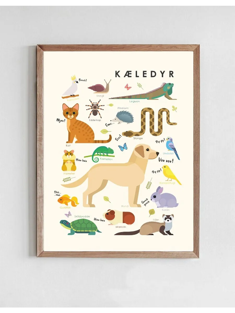 K Ledyr Borneplakat