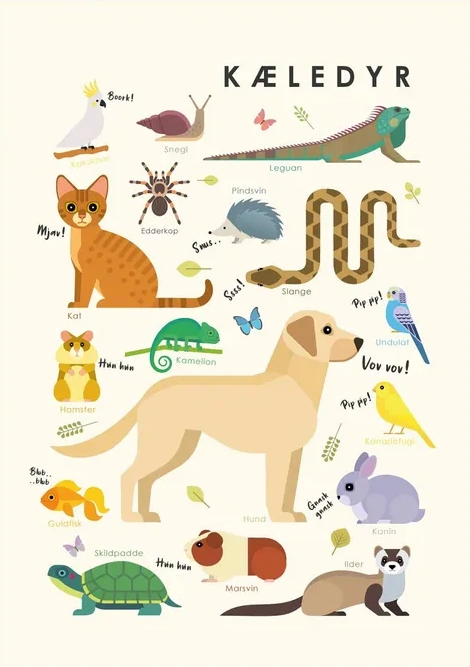 K Ledyr Borneplakat