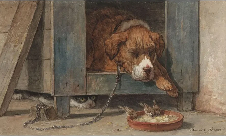 Kat Bespiedt Vogels Bij Een Slapende Hond