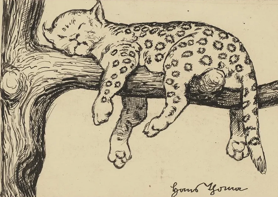 Katze
