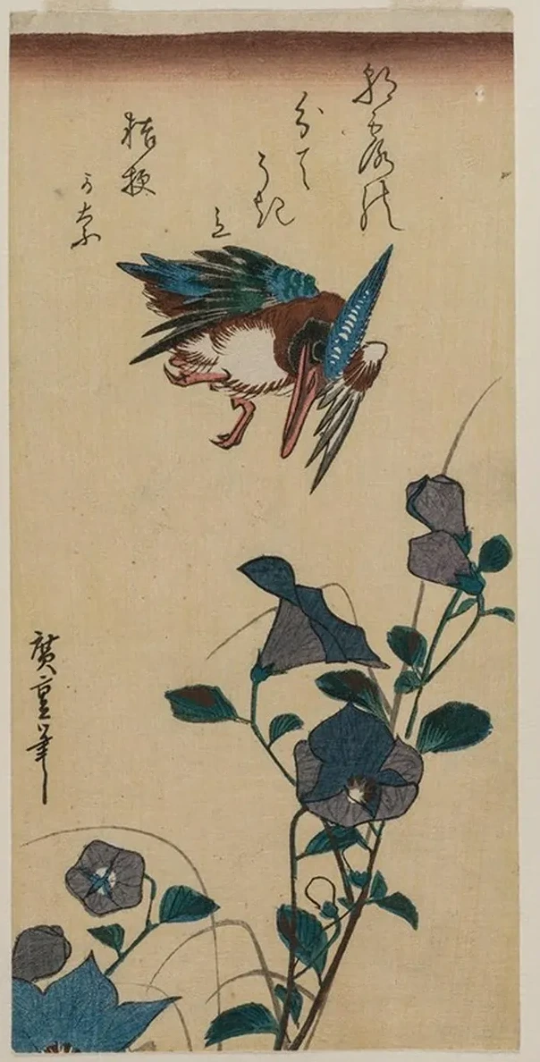 Kingfisher and Chinese Bellflowers