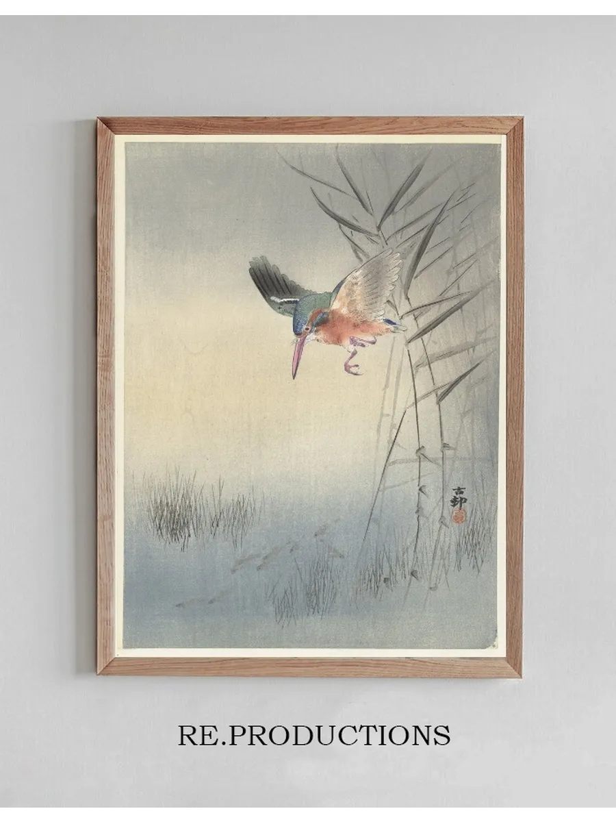 Kingfisher Hunting for Fish