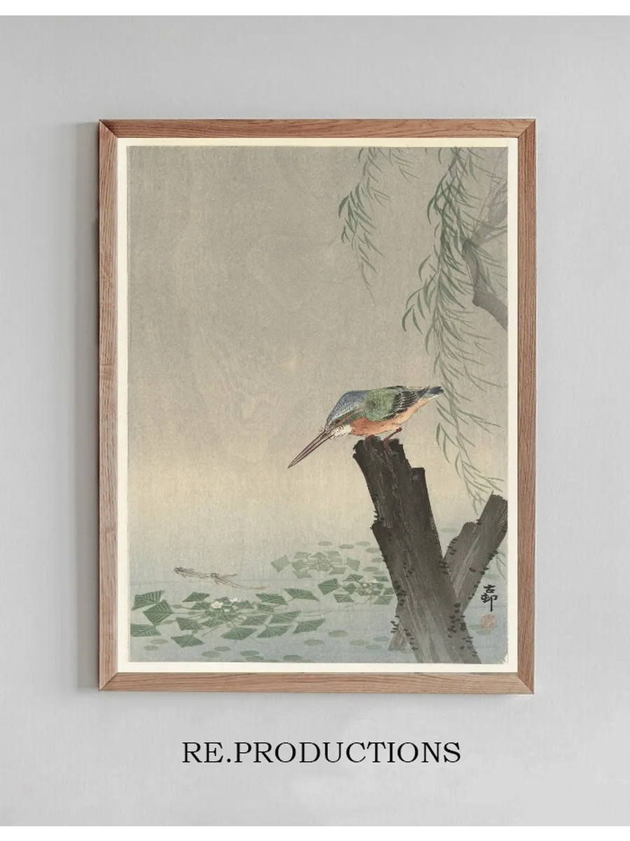 Kingfisher on Tree Stump