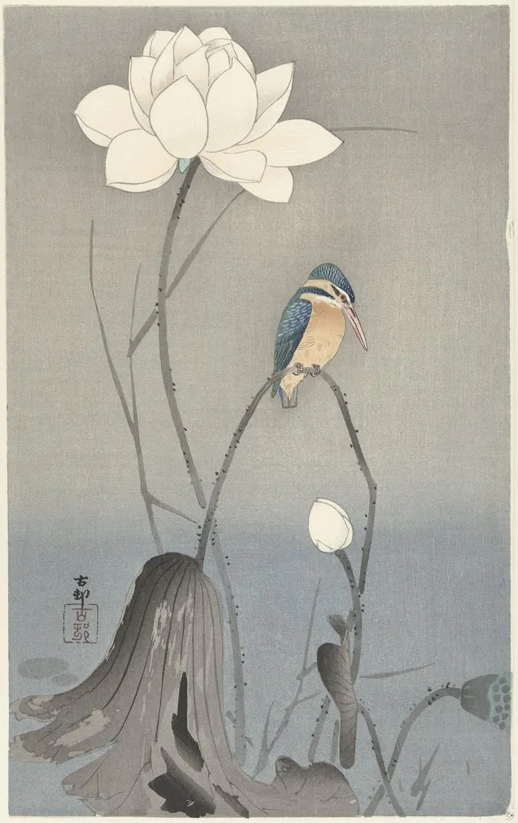 Kingfisher with Lotus Flower