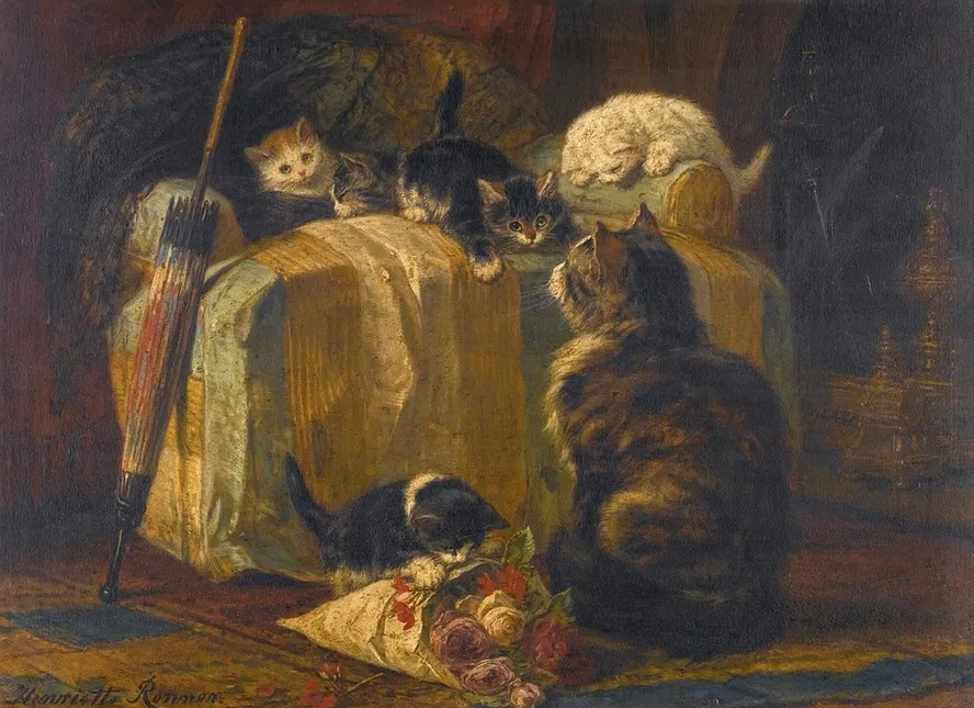 Kittens At Play