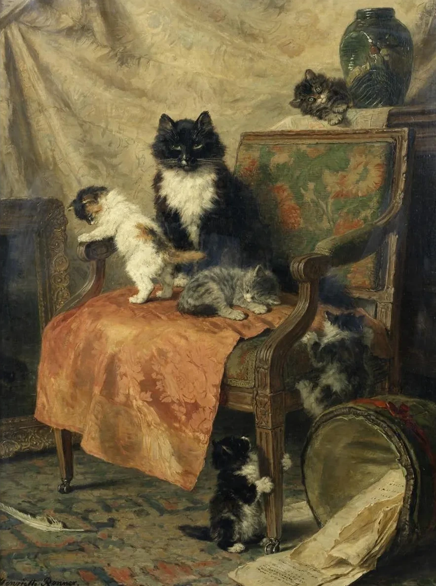 Kittens At Play