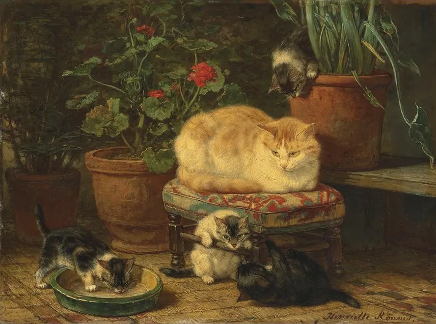 Kittens At Play