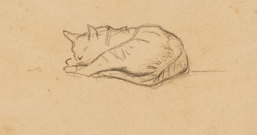Kleine Katzenstudie