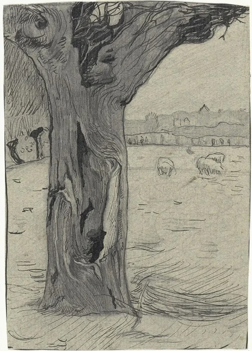 Knotwilg in Een Weidelandschap