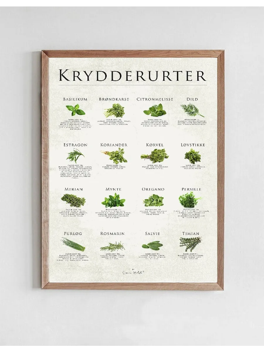 Krydderurter