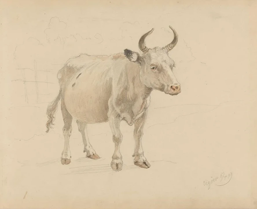 Ku Med Horn