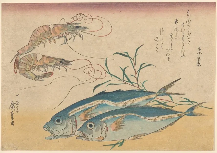 Kuruma Ebi, Aji Prawns, and Horse Mackerel