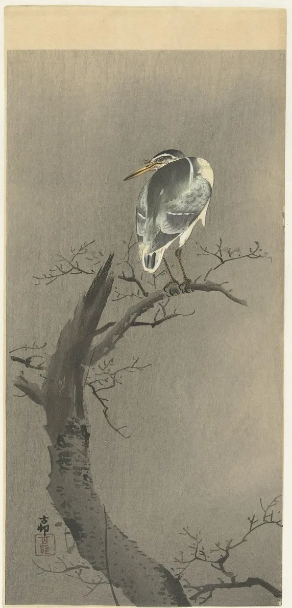 Kwak on Branch