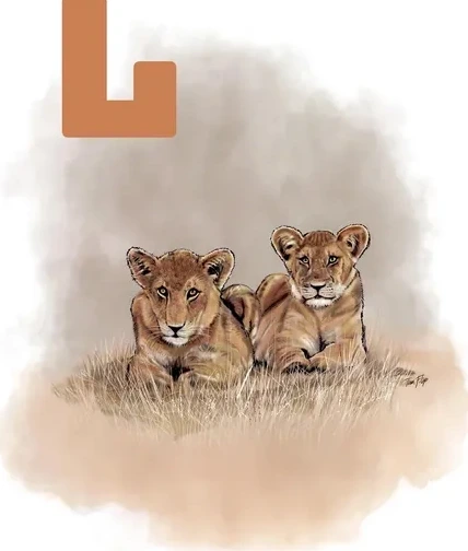 L Grey L ve