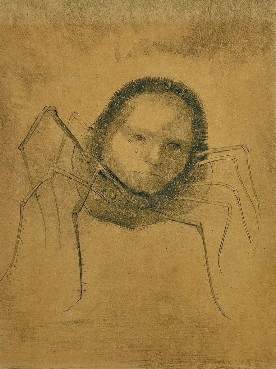 L Araign E Qui Pleure Ou le D Sespoir du Monstre
