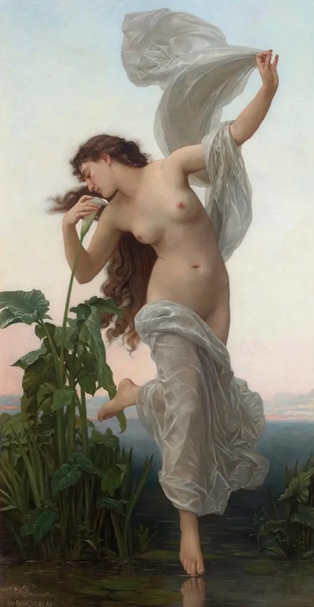 L Aurore