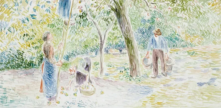 La Cueillette Des Pommes