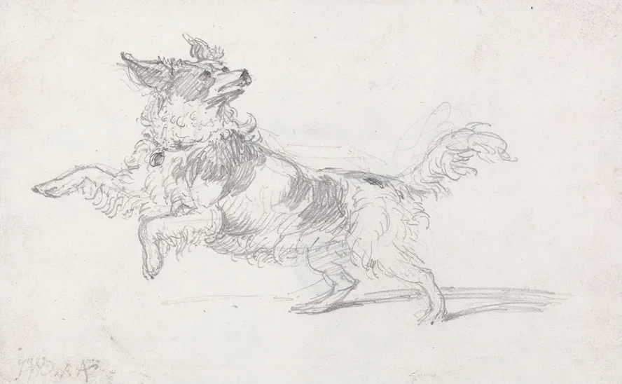 Lady Londonderry's Dog